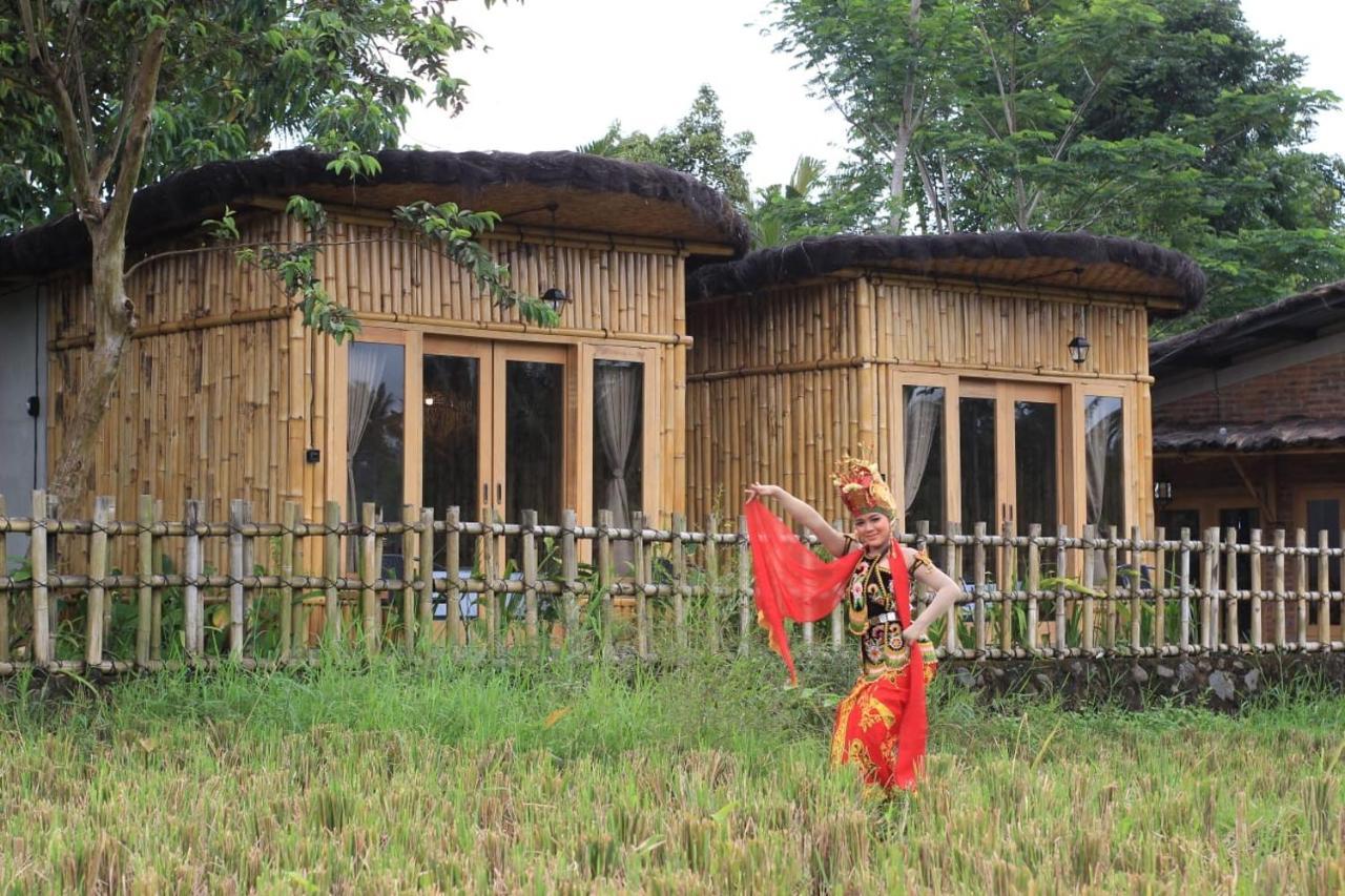 Sawah Ijen Hotel Licin Екстериор снимка