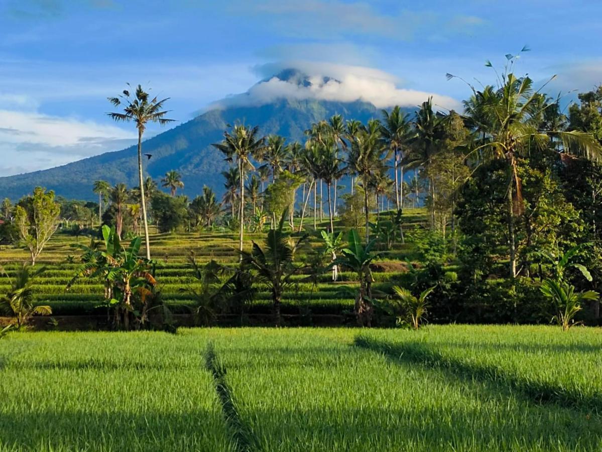 Sawah Ijen Hotel Licin Екстериор снимка