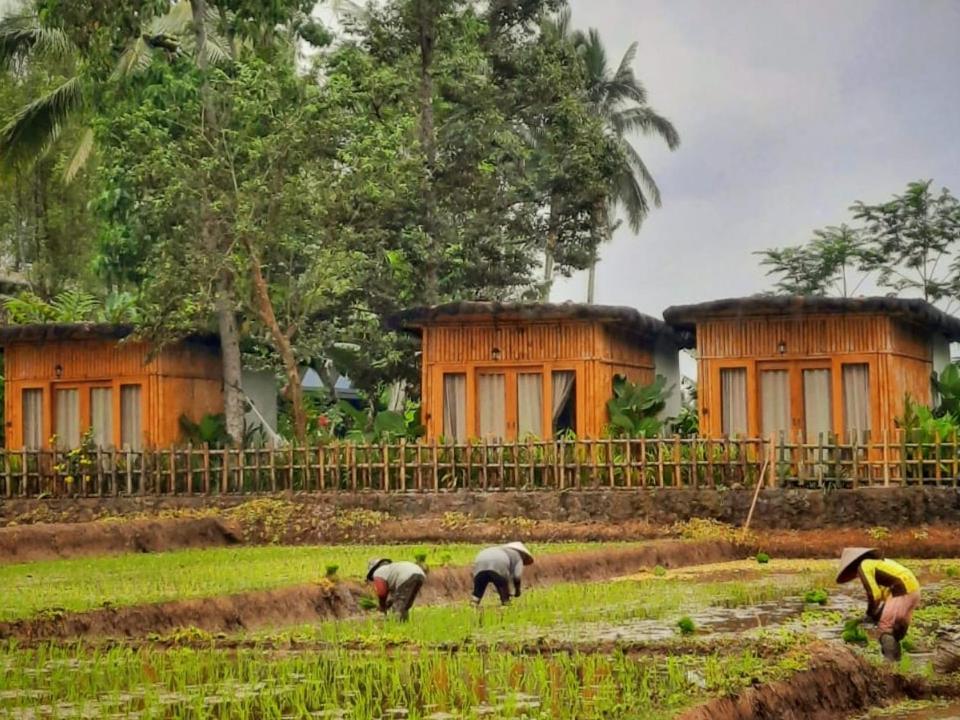 Sawah Ijen Hotel Licin Екстериор снимка