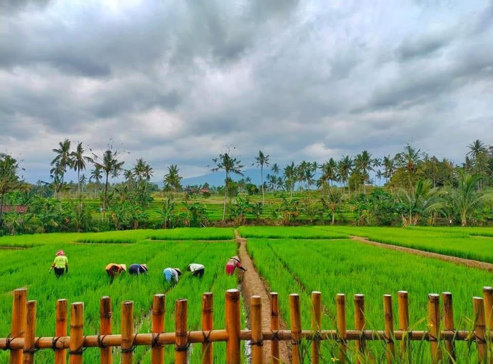 Sawah Ijen Hotel Licin Екстериор снимка